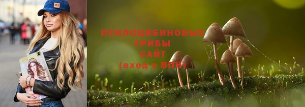 спайс Алзамай