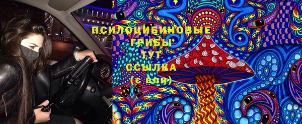 спайс Алзамай